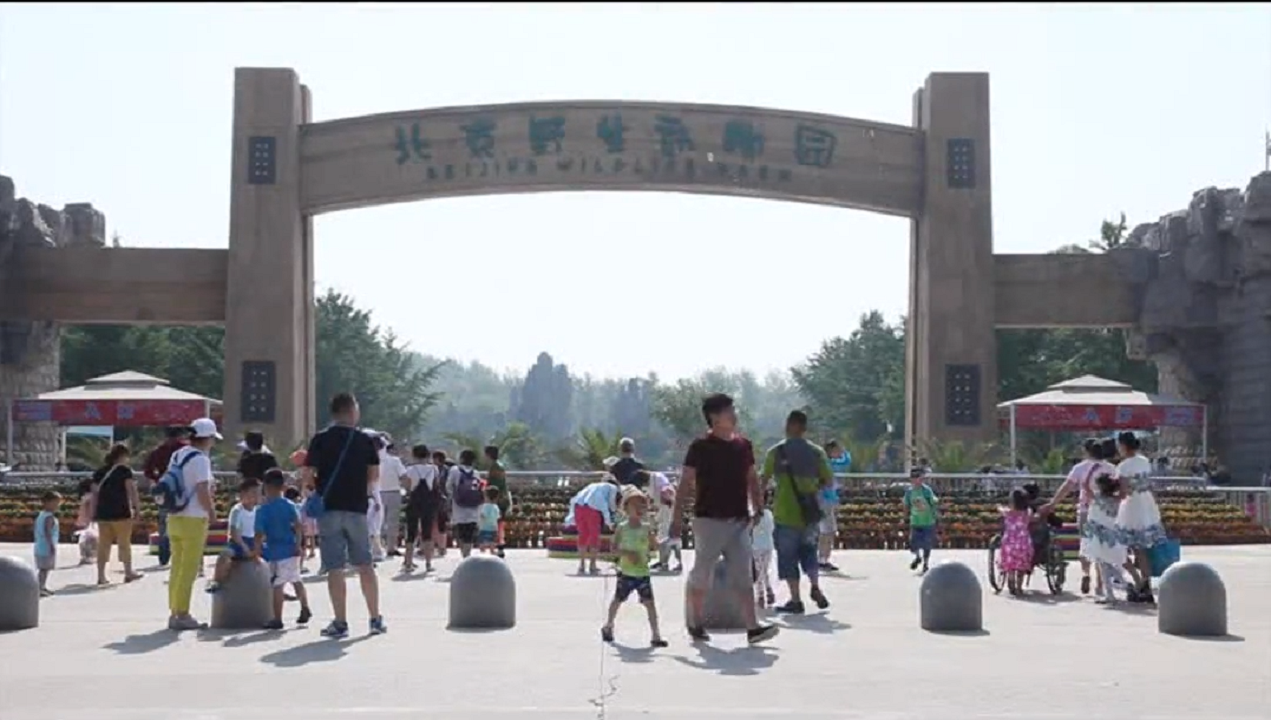 CQ9电子游戏(中国集团)官方网站